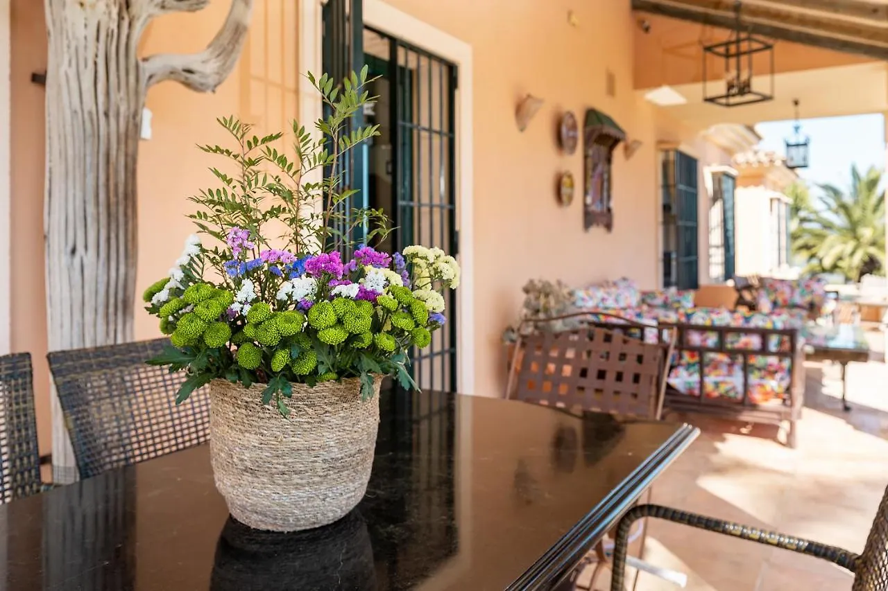 Villa Saguaro Malaga Alhaurin de la Torre