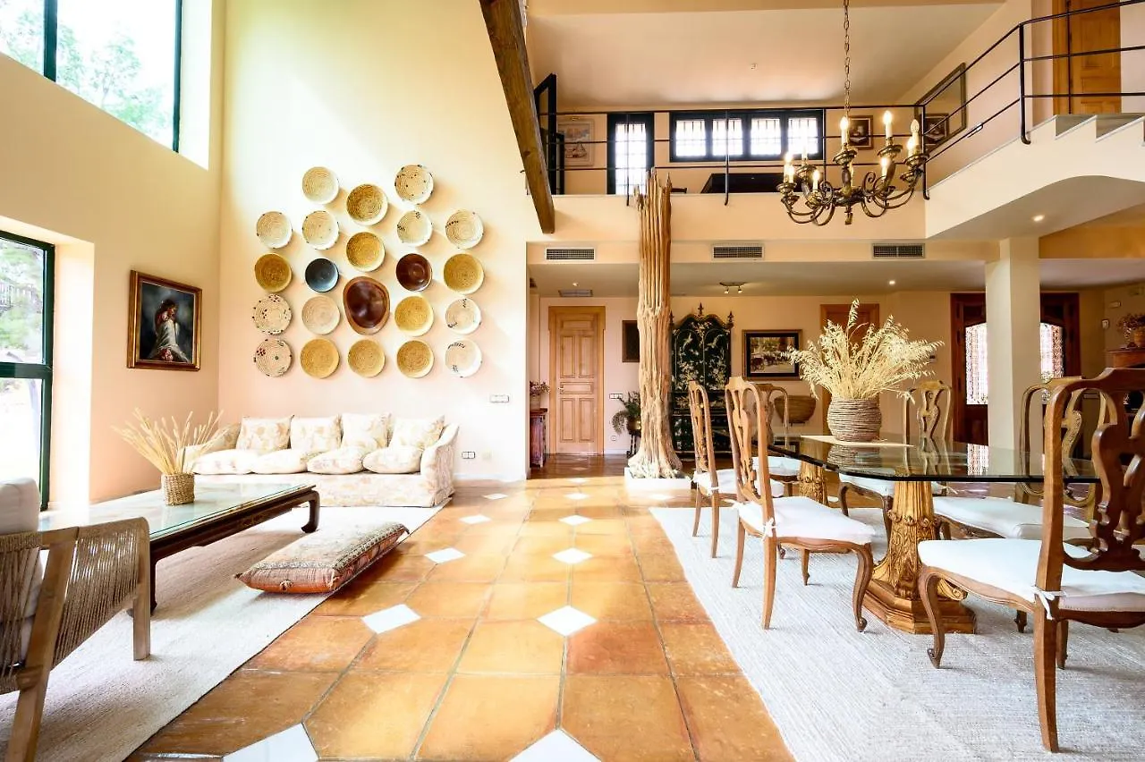 Villa Saguaro Malaga Alhaurín de la Torre